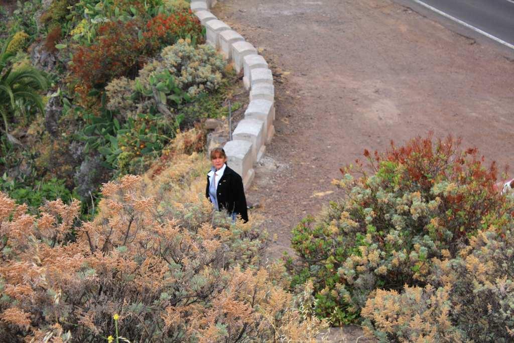 Foto de La Gomera (Santa Cruz de Tenerife), España