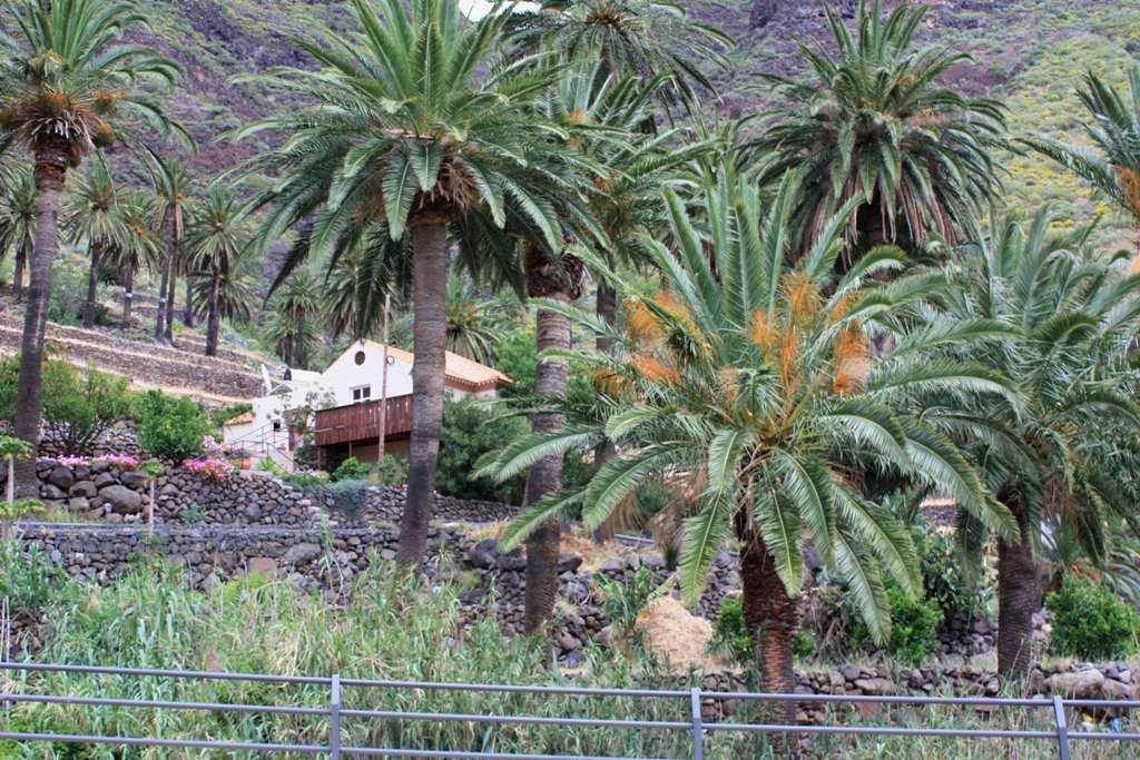 Foto de La Gomera (Santa Cruz de Tenerife), España