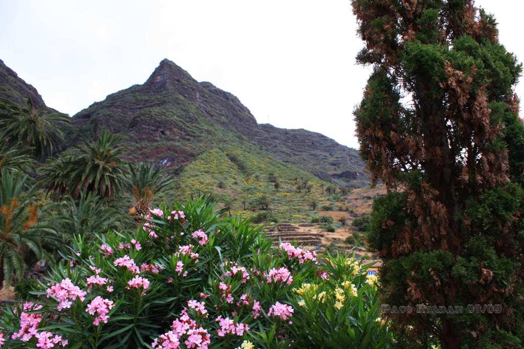 Foto de La Gomera (Santa Cruz de Tenerife), España