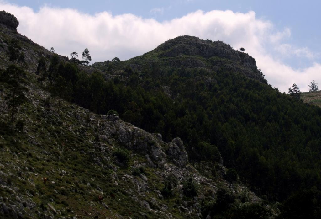 Foto de La Cavada (Cantabria), España