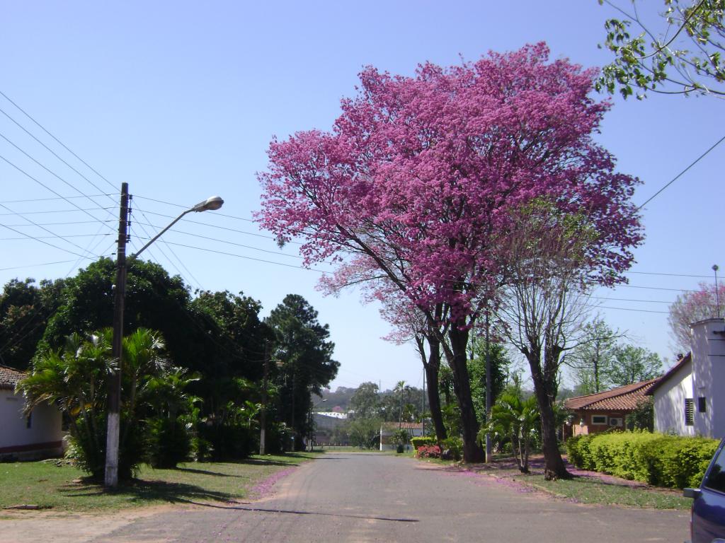 Foto de Luque (Dpto.Central), Paraguay