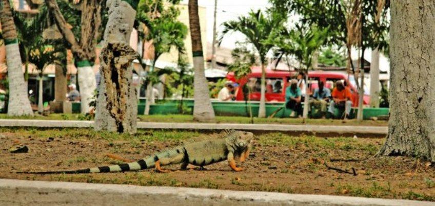 Foto de Magangué, Colombia