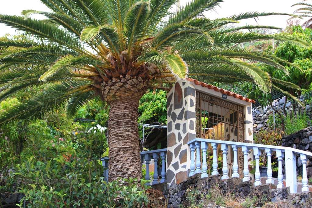 Foto de La Gomera (Santa Cruz de Tenerife), España