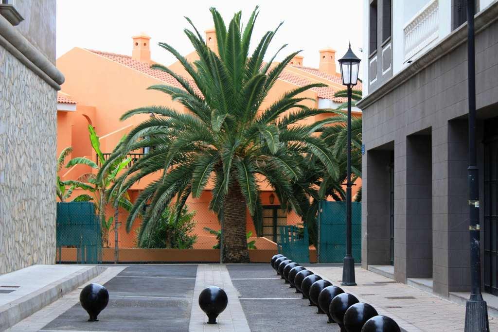 Foto de La Gomera (Santa Cruz de Tenerife), España