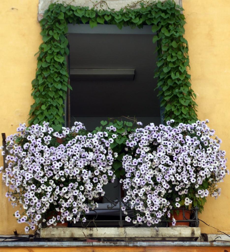 Foto de León (Castilla y León), España