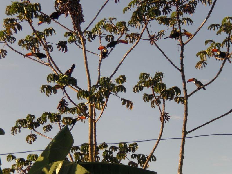 Foto de Piracanjuba, Brasil