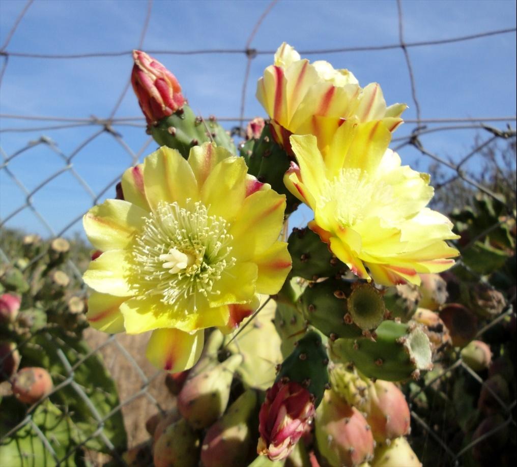 Foto de Lagos, Portugal
