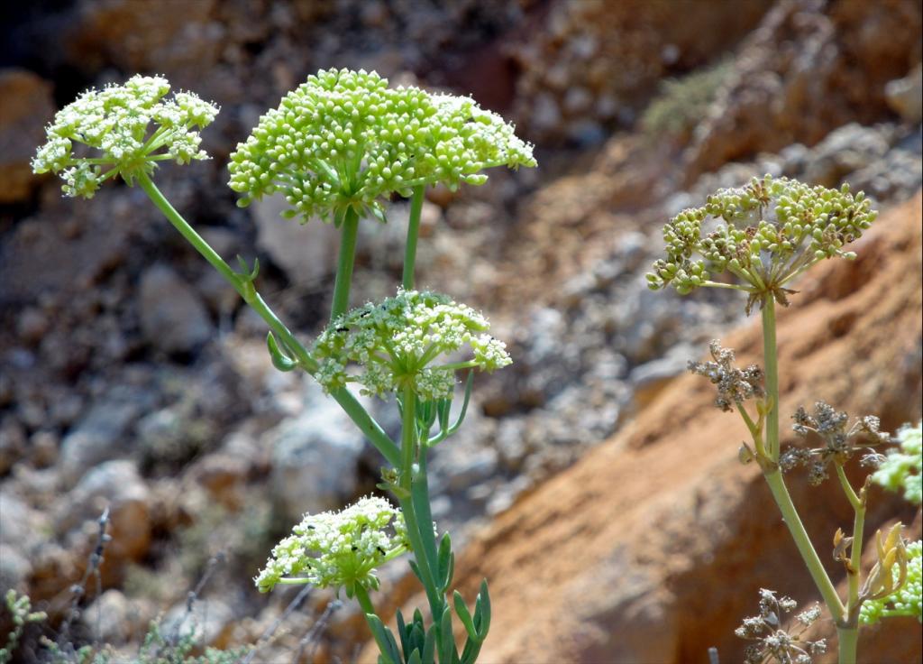 Foto de Lagos, Portugal