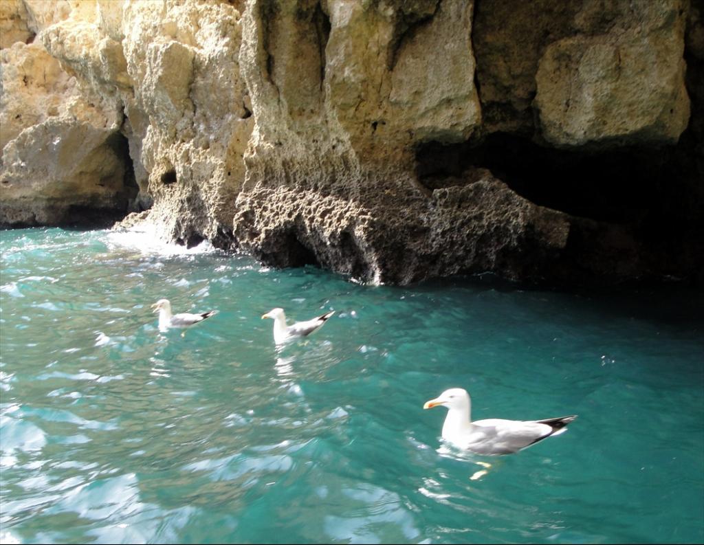 Foto de Lagos, Portugal