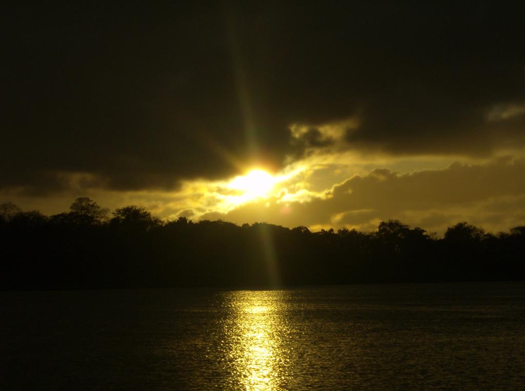 Foto de Delta Amacuro (Caño Manamo), Venezuela