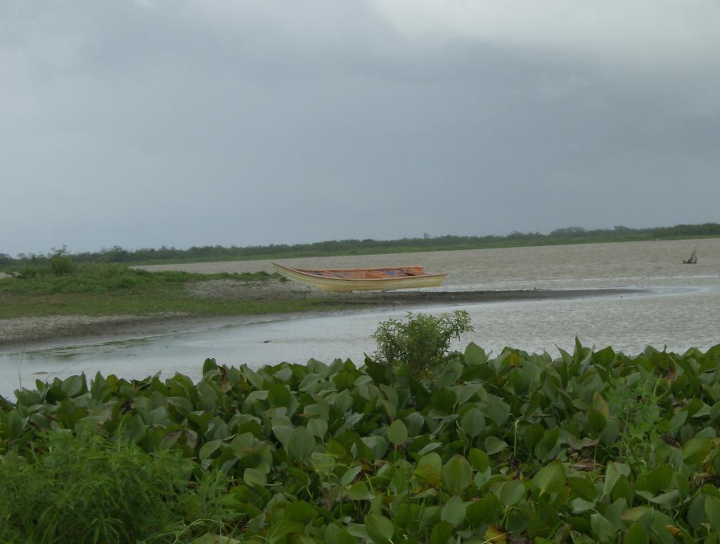 Foto de Delta Amacuro (Tucupita), Venezuela