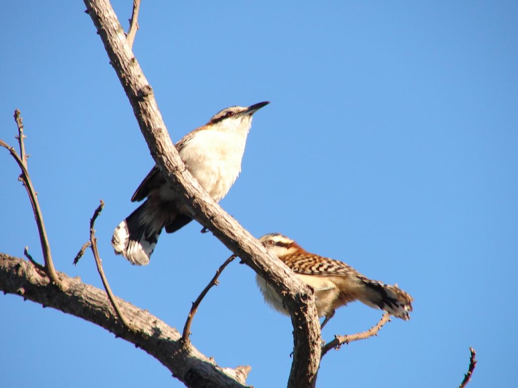 Foto de Puntarenas, Costa Rica