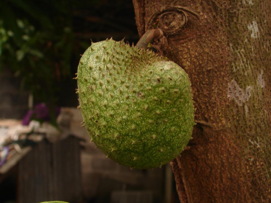 Foto de Puntarenas, Costa Rica