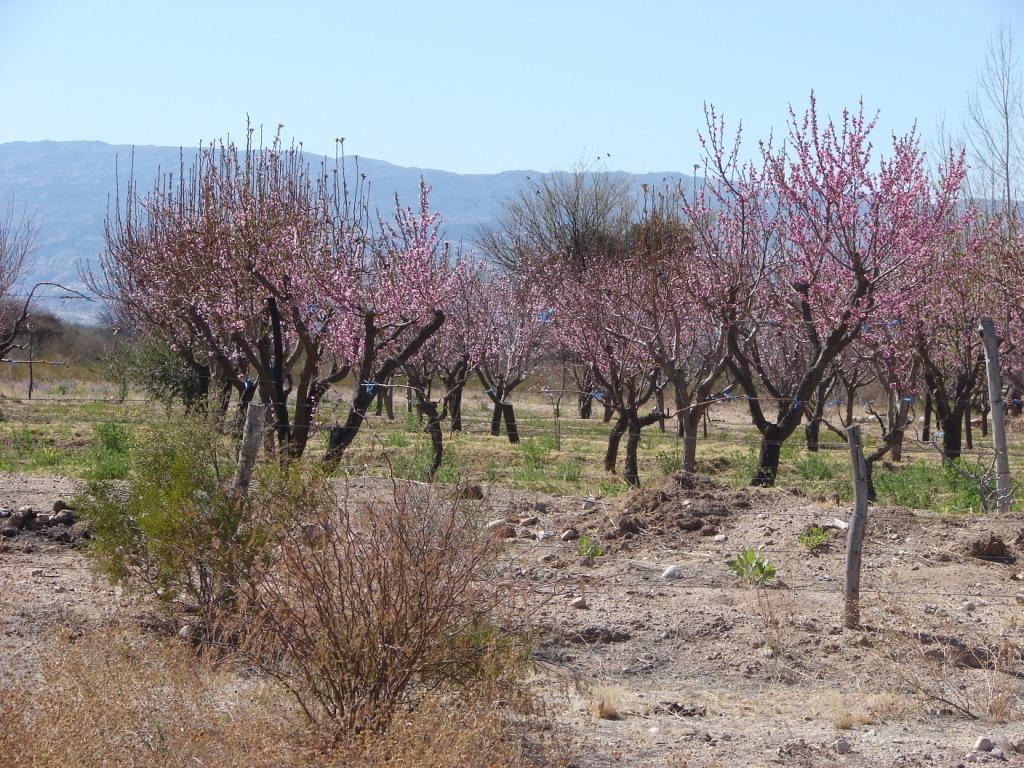 Foto de Aminga, Argentina