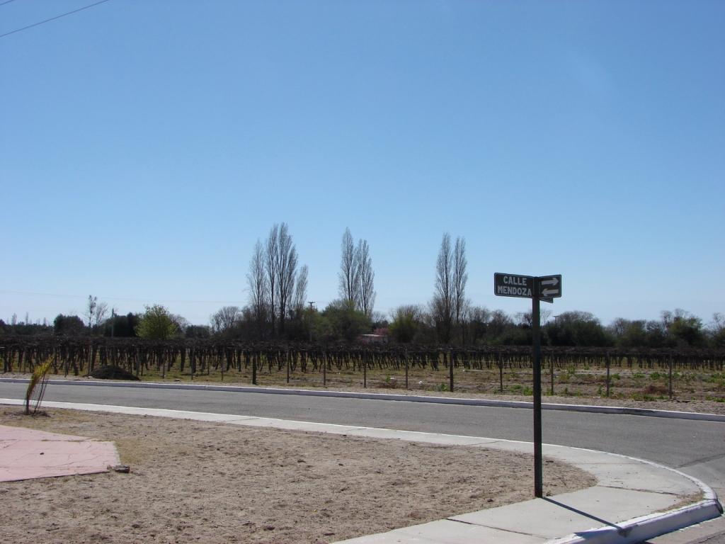 Foto de Anillaco (La Rioja), Argentina