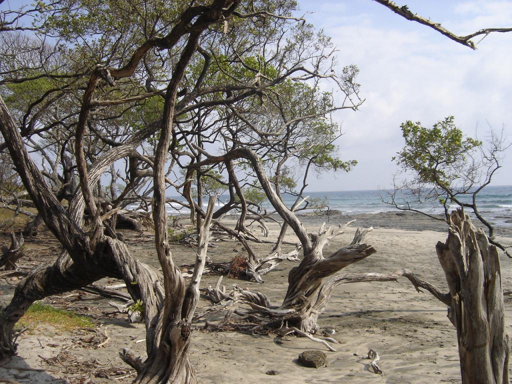 Foto de Guanacaste, Costa Rica