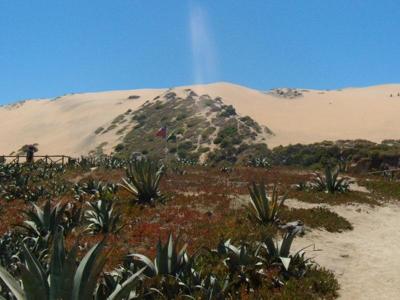 Foto de Concon, Chile