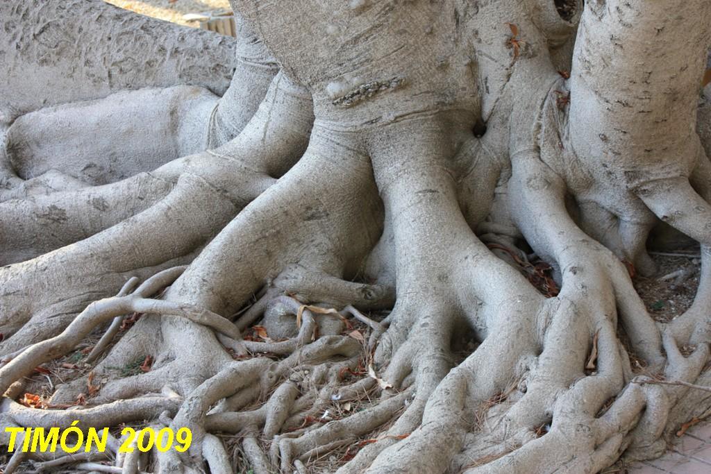 Foto de Menorca (Illes Balears), España