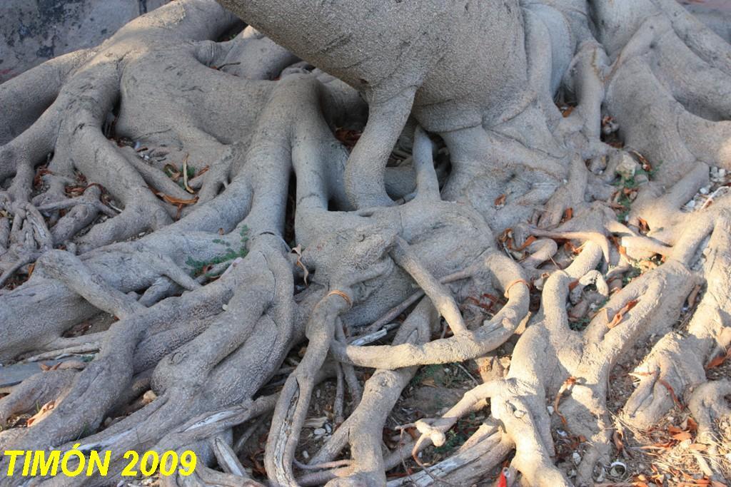Foto de Menorca (Illes Balears), España