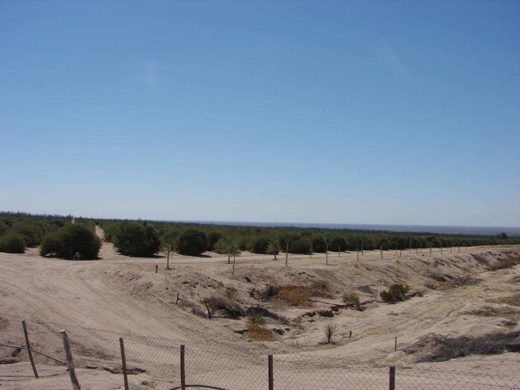 Foto de Aimogasta (La Rioja), Argentina