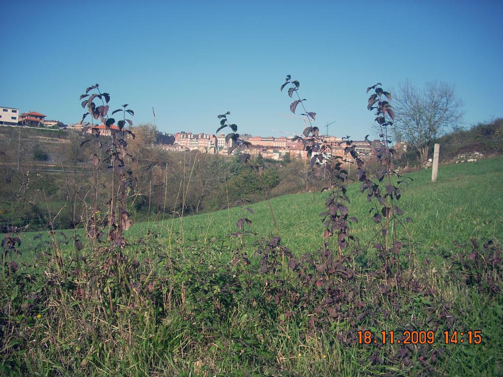 Foto de Oviedo (Asturias), España