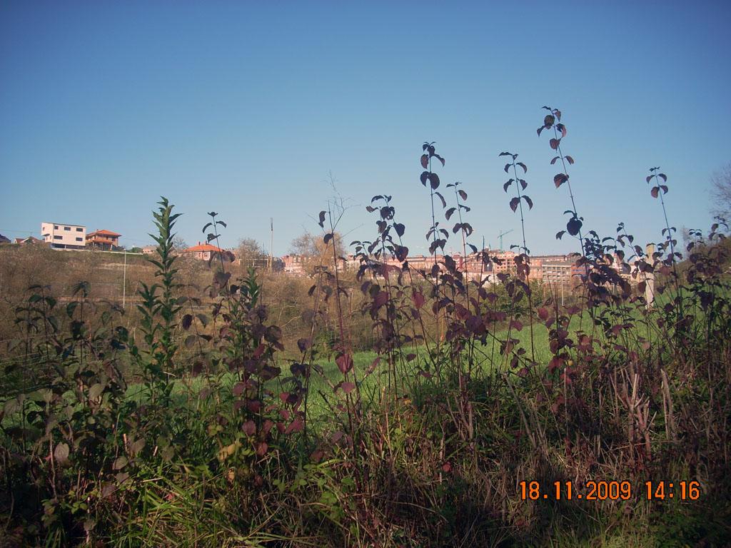 Foto de Oviedo (Asturias), España