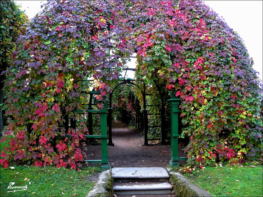 Foto de Peterhoff, Rusia