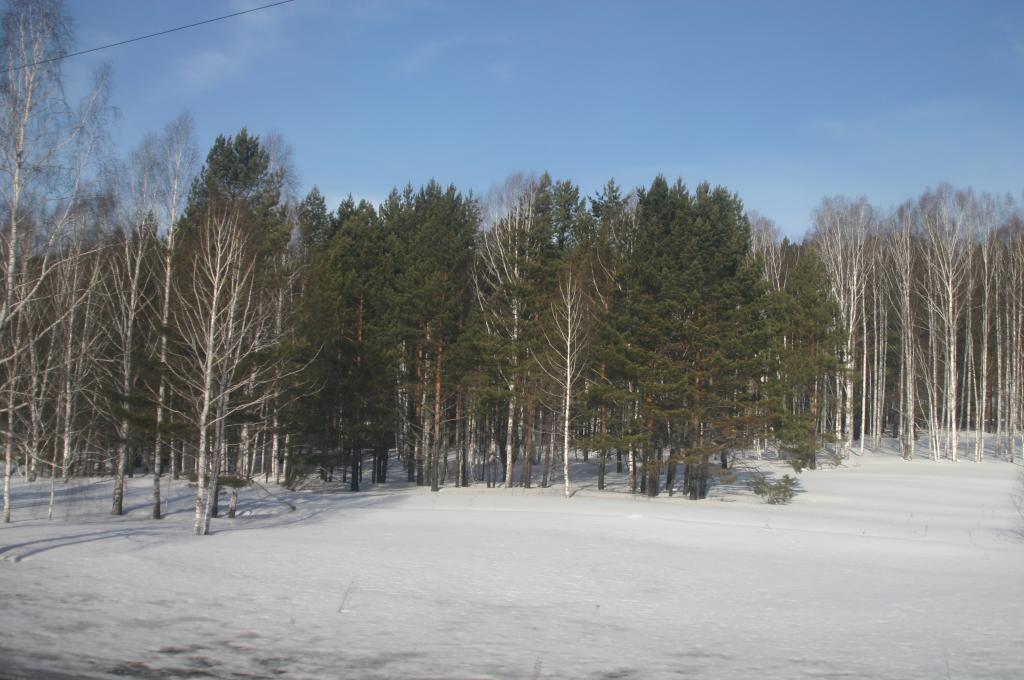 Foto de Siberia, Rusia