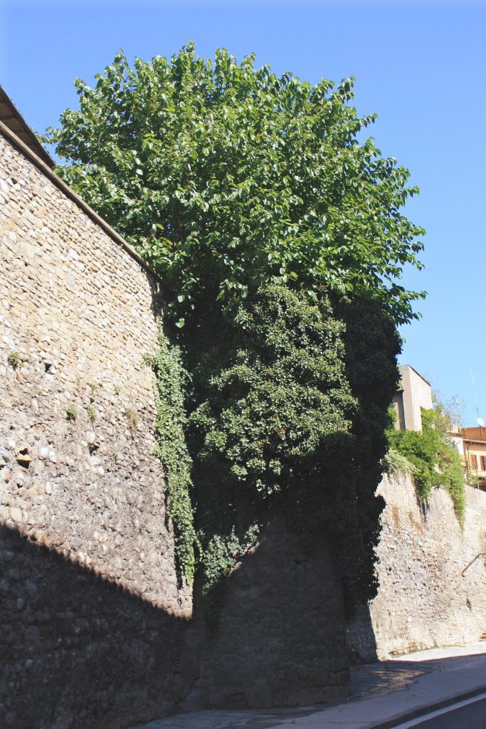 Foto de Vic (Barcelona), España