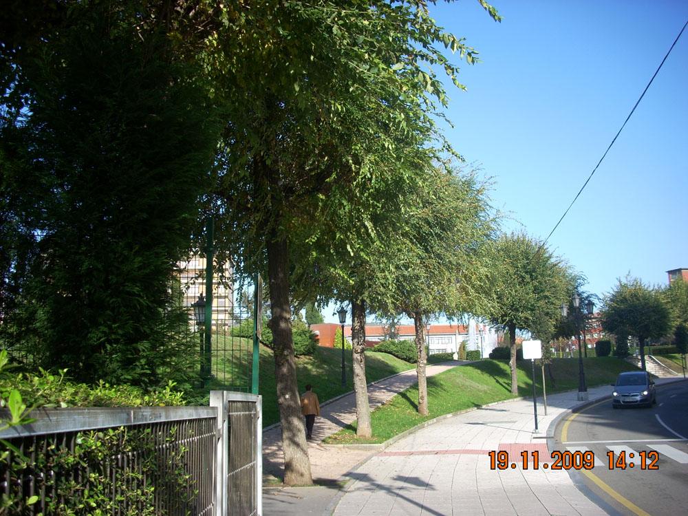 Foto de Oviedo (Asturias), España