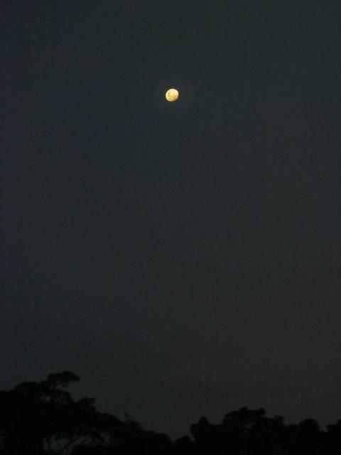 Foto de Shell-Pastaza, Ecuador