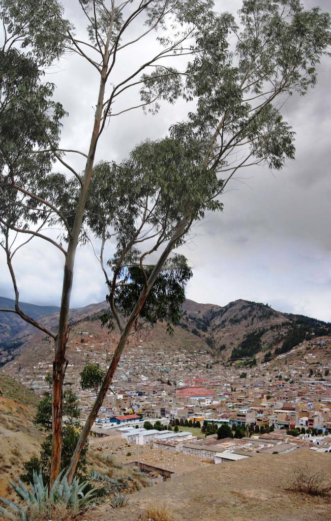 Foto de Tarma, Perú
