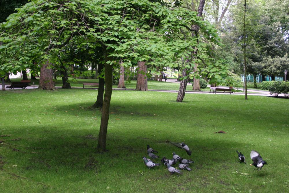 Foto de Oviedo (Asturias), España