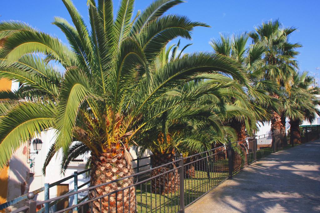 Foto de Onda (Castelló), España