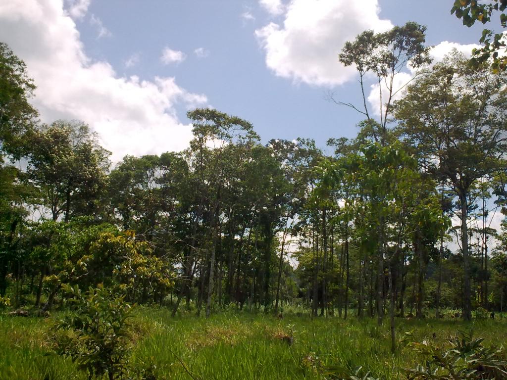 Foto de Palora, Ecuador