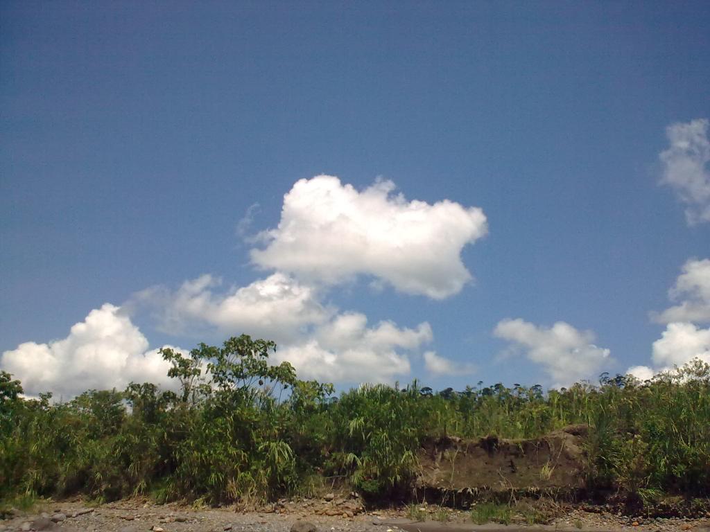 Foto de Puyo, Ecuador