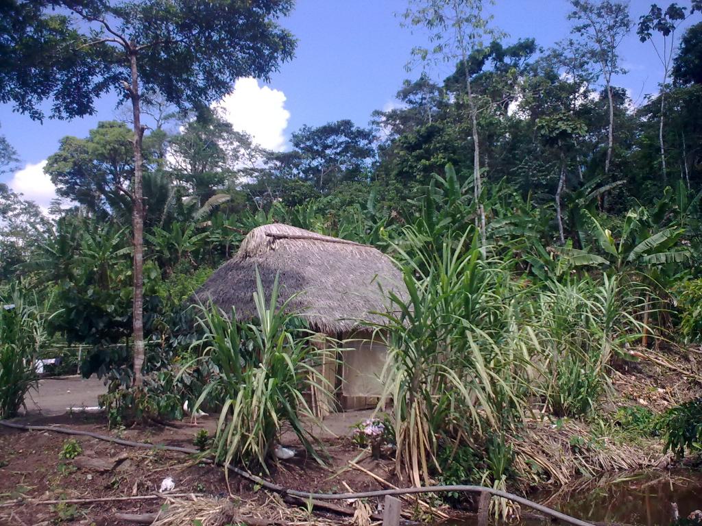 Foto de Puyo, Ecuador