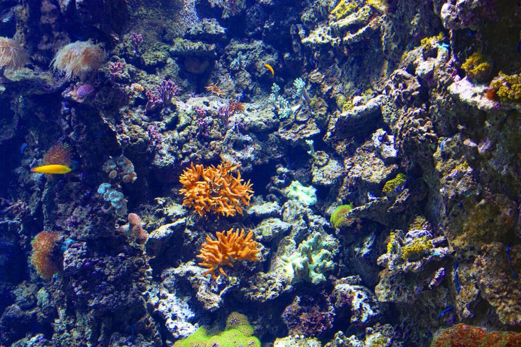 Foto de Valencia (València), España