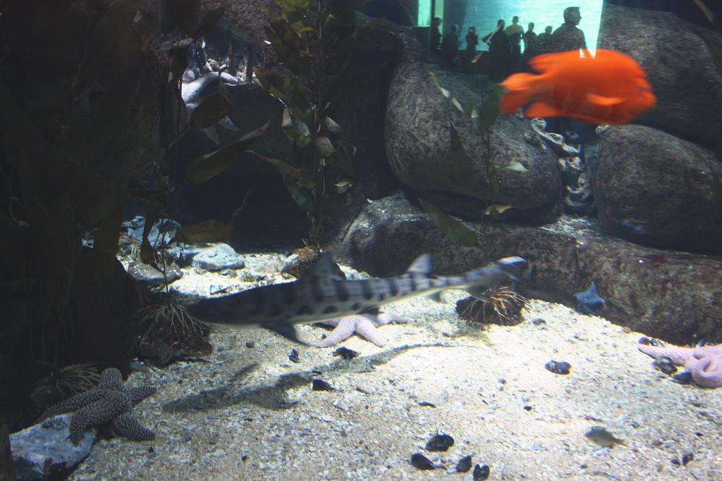 Foto de Valencia (València), España