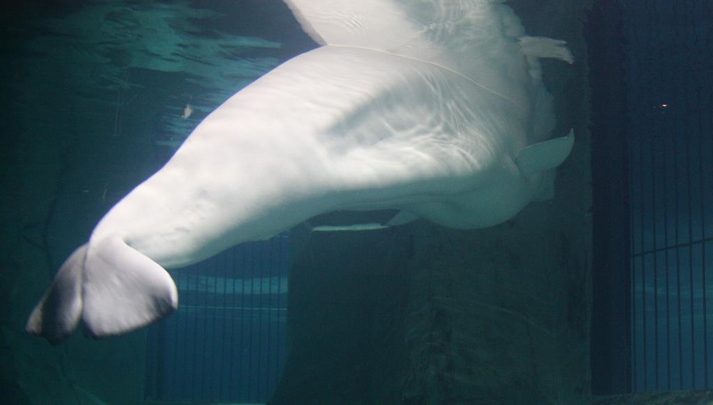 Foto de Valencia (València), España