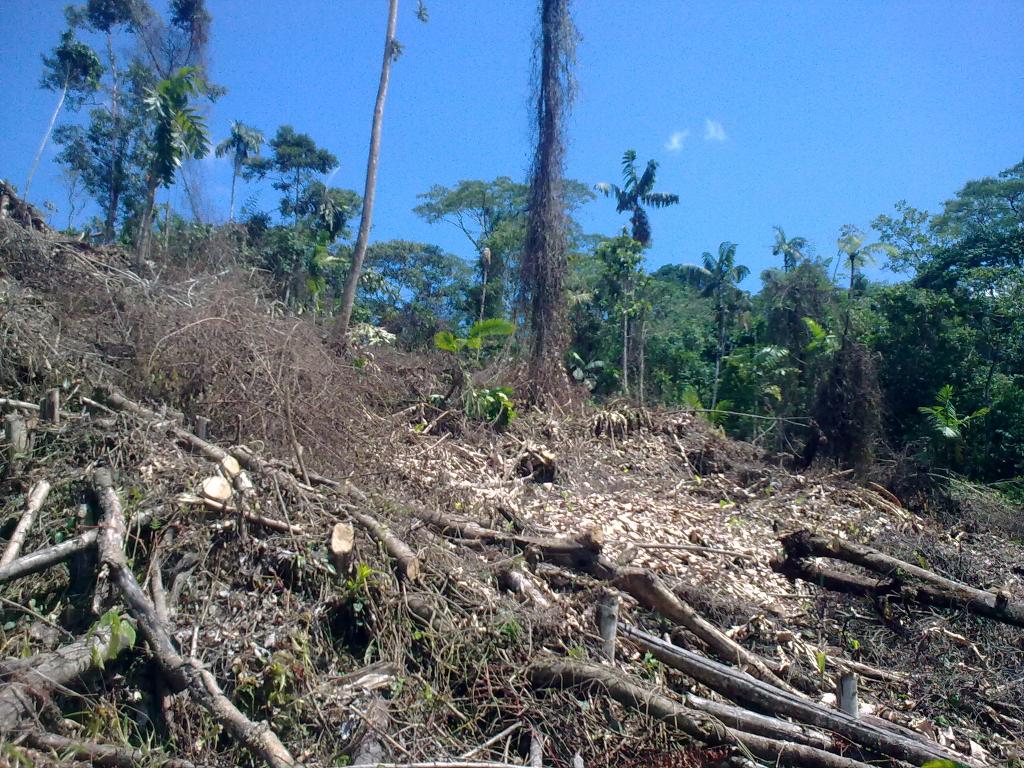 Foto de Puyo, Ecuador