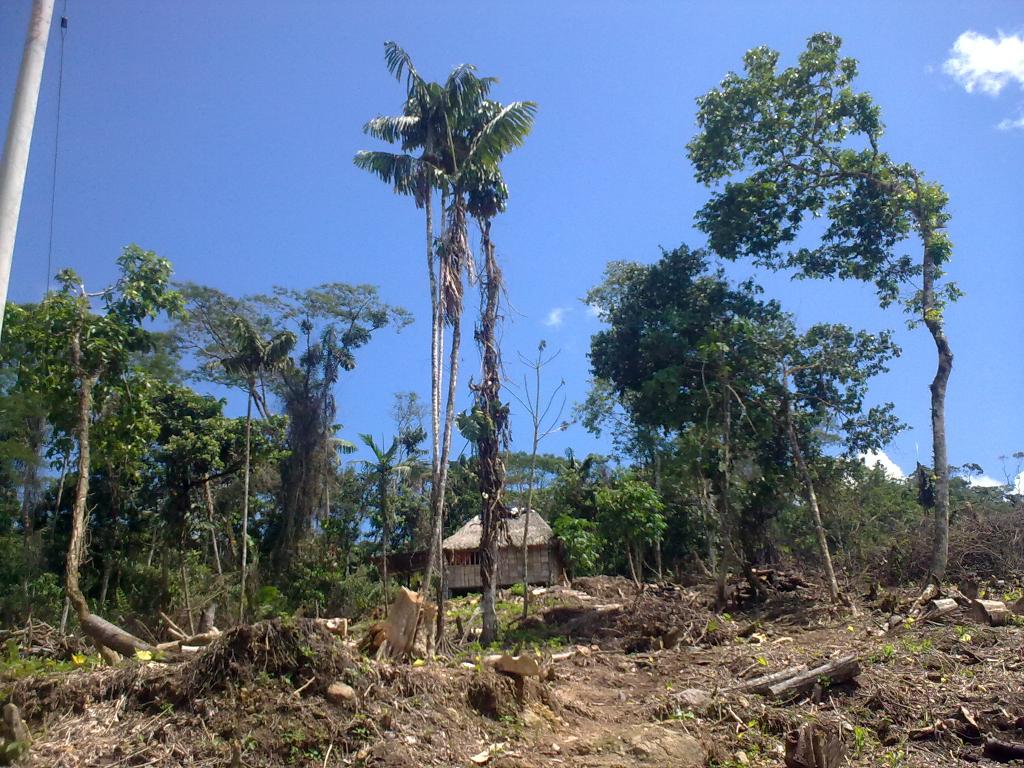 Foto de Puyo, Ecuador
