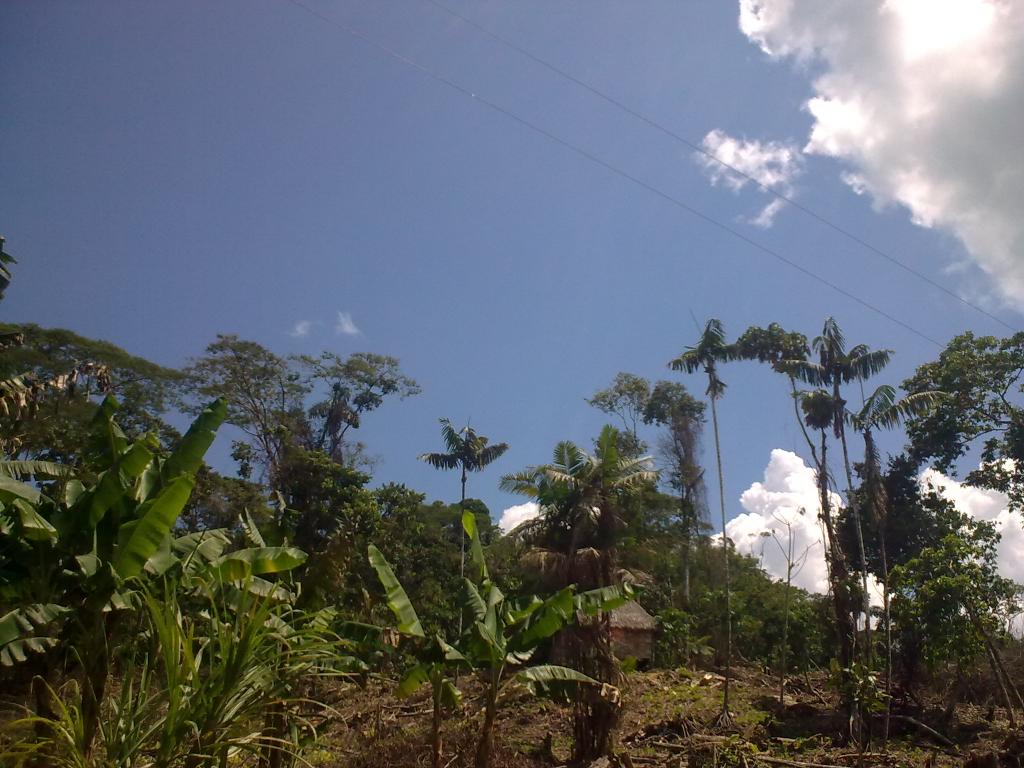 Foto de Puyo, Ecuador