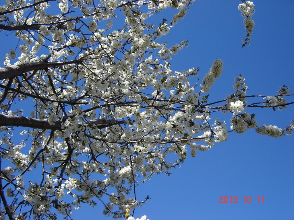 Foto de Esquel, Argentina