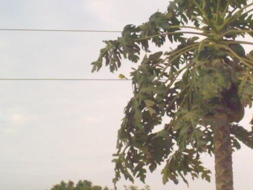 Foto de Crucita (Manabì), Ecuador