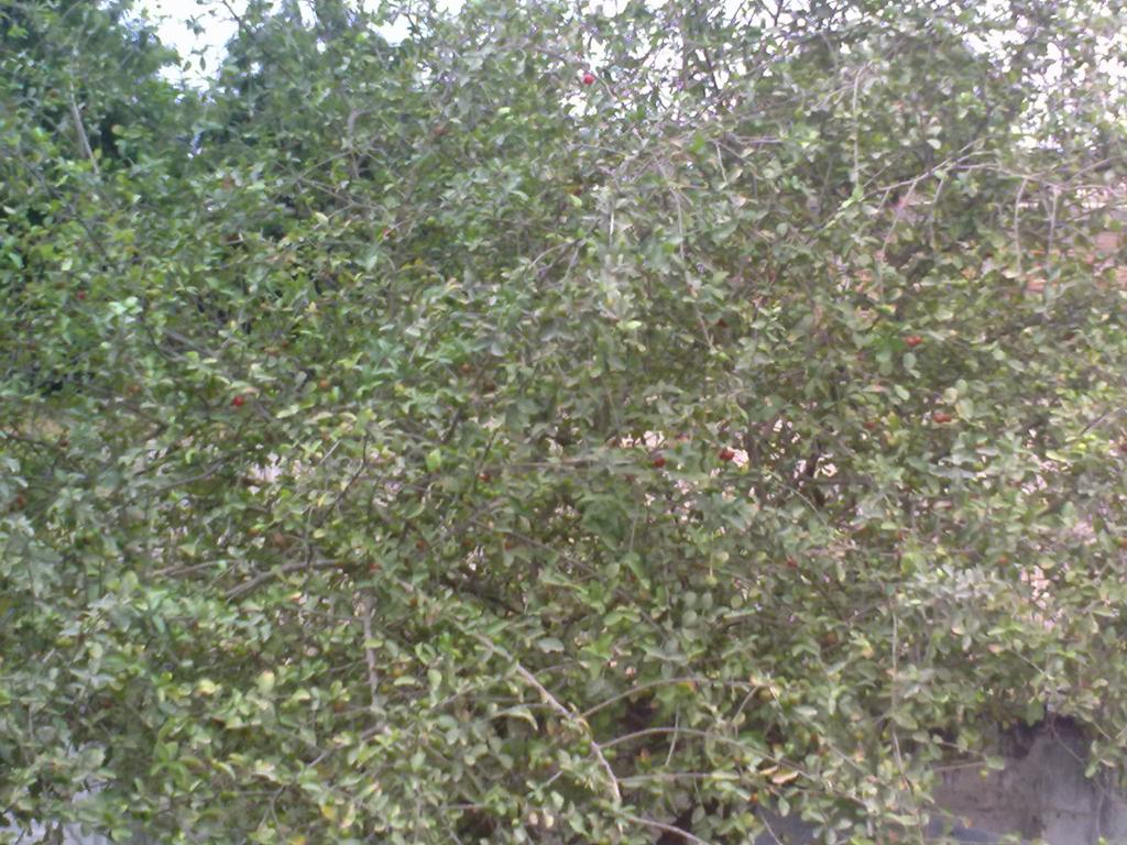 Foto de Crucita (Manabì), Ecuador