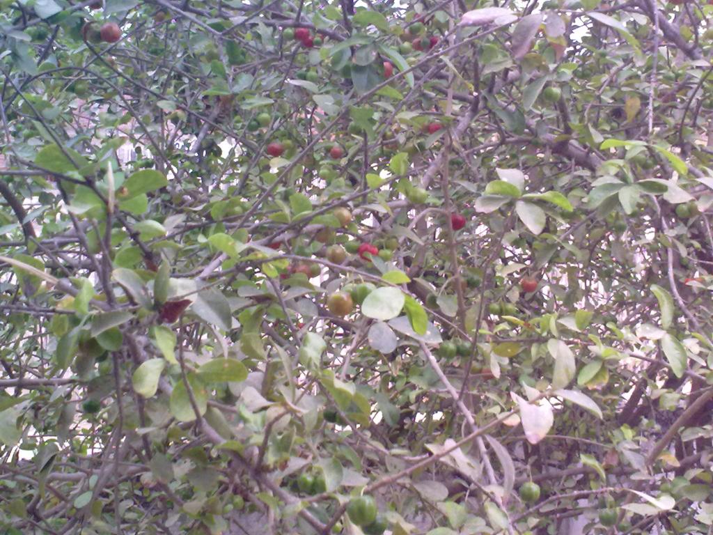 Foto de Crucita (Manabì), Ecuador