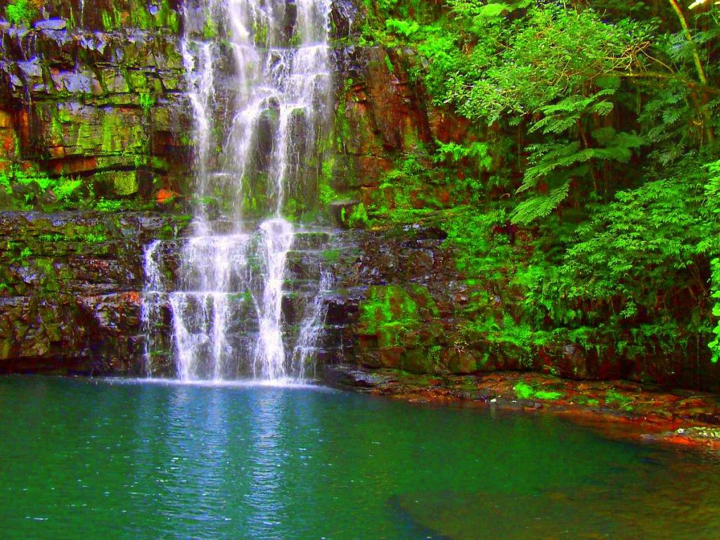 Foto de Colinia Independencia, Paraguay
