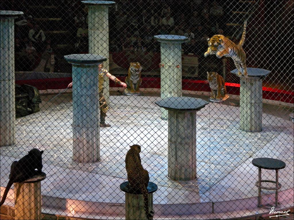 Foto de Moscu, Rusia