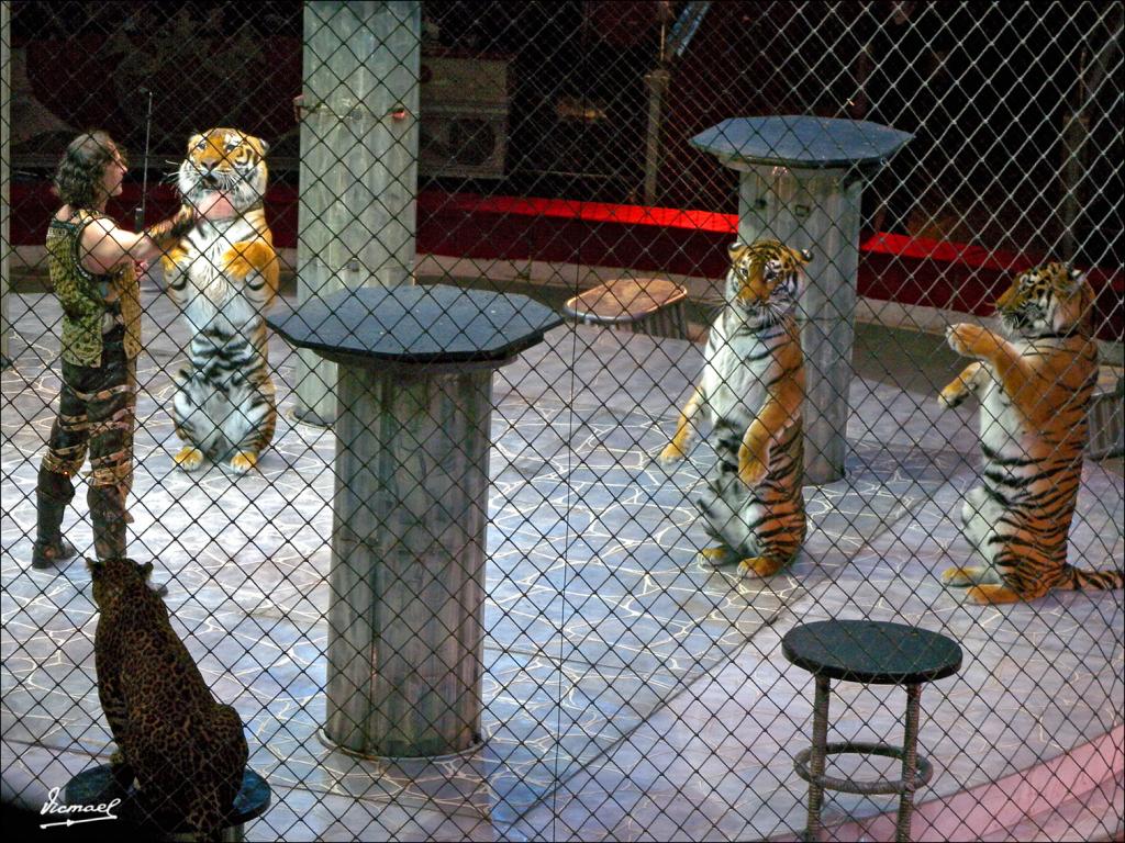 Foto de Moscu, Rusia